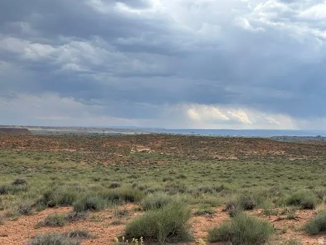 Expansive undeveloped land featuring varied terrain and natural vegetation