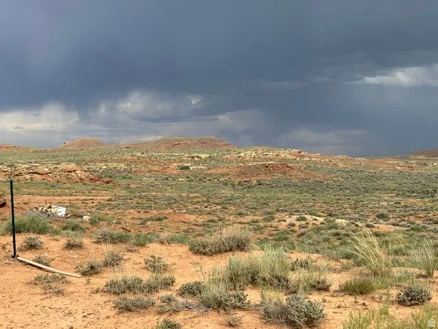 Expansive desert landscape featuring varied terrain and natural vegetation