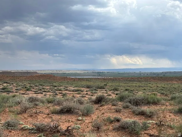 Expansive desert landscape with natural flora and distant water feature