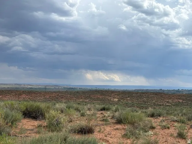 Expansive desert landscape with natural flora and distant horizons