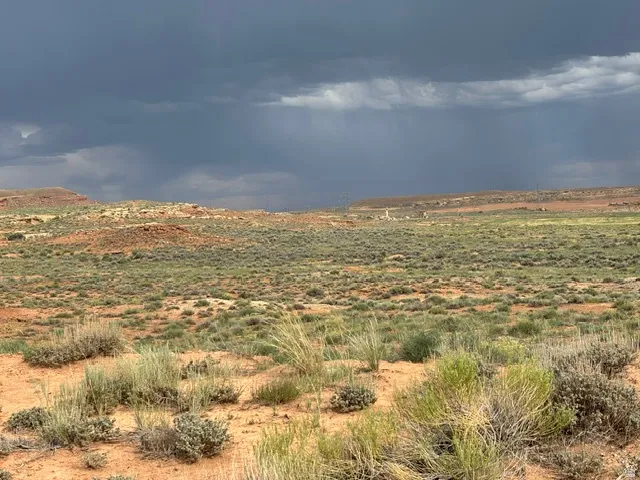 Expansive desert landscape featuring varied low-lying vegetation