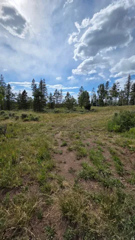 Expansive natural landscape featuring varied terrain with visible soil and ground cover