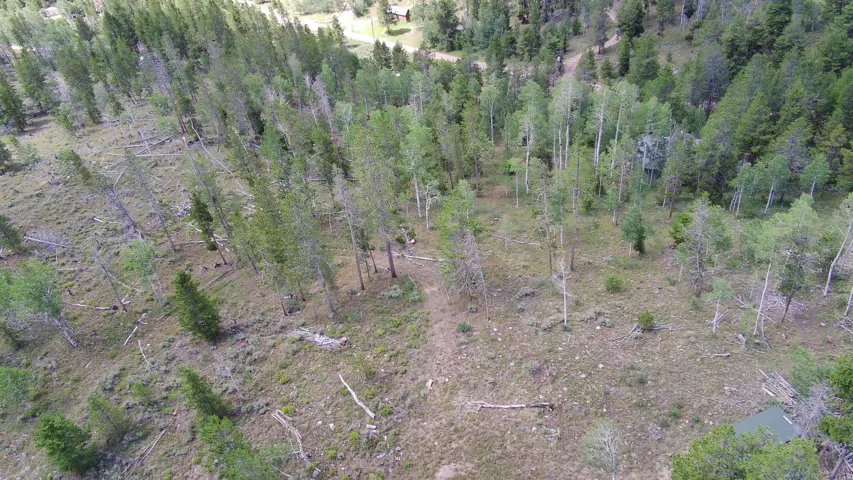 Expansive natural landscape featuring varied terrain and mature trees
