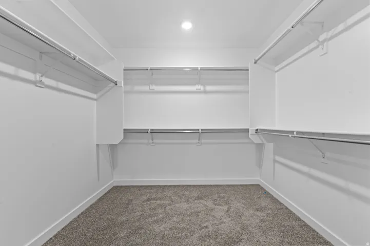 Walk-in closet featuring white walls, white shelving, metal hanging rods, and gray carpet flooring