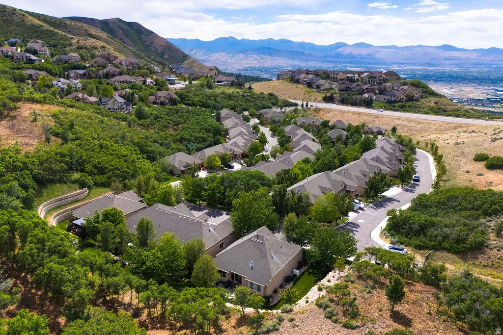 Residential community situated on a hillside with established homes