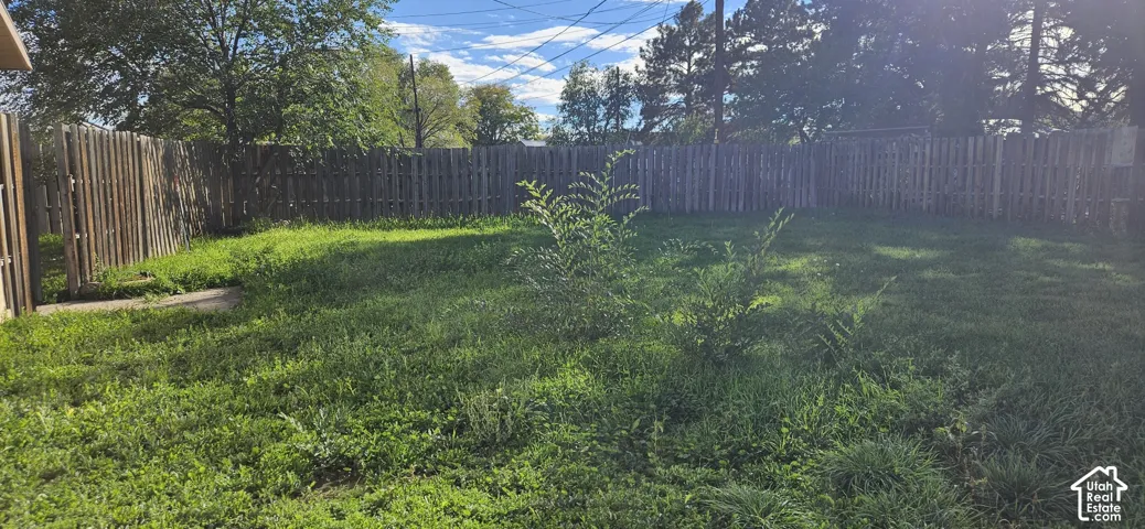 Rear exterior grounds enclosed by a wood picket privacy fence featuring mature trees and a concrete pathway