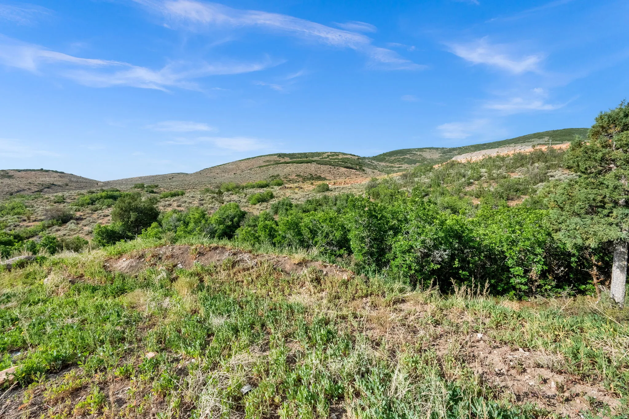 Expansive undeveloped lot featuring varied topography and natural vegetation