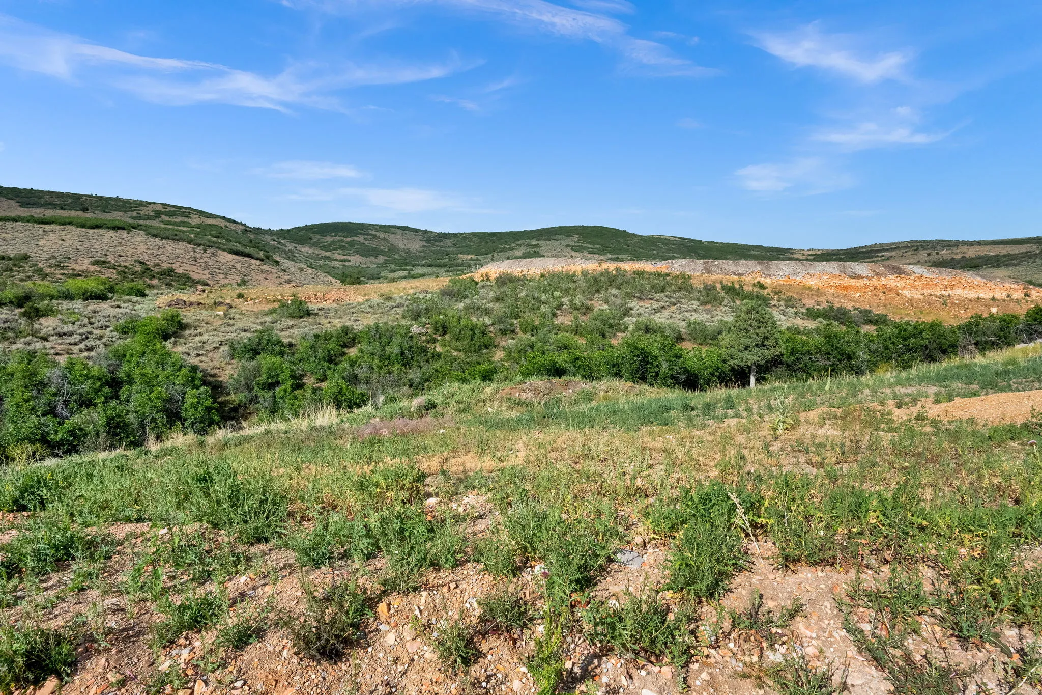 Expansive land featuring diverse topography, including rolling hills and varied vegetation