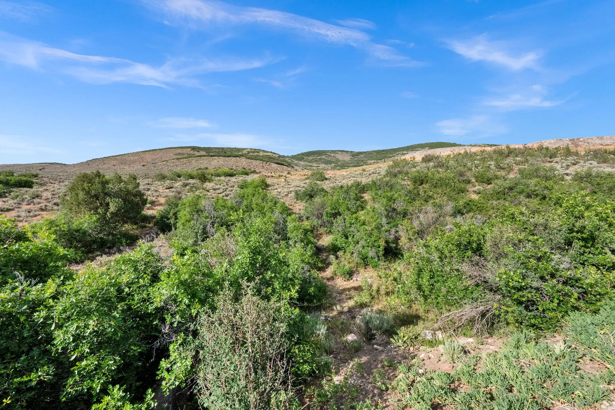 Expansive hillside terrain featuring diverse native vegetation and rolling landscape