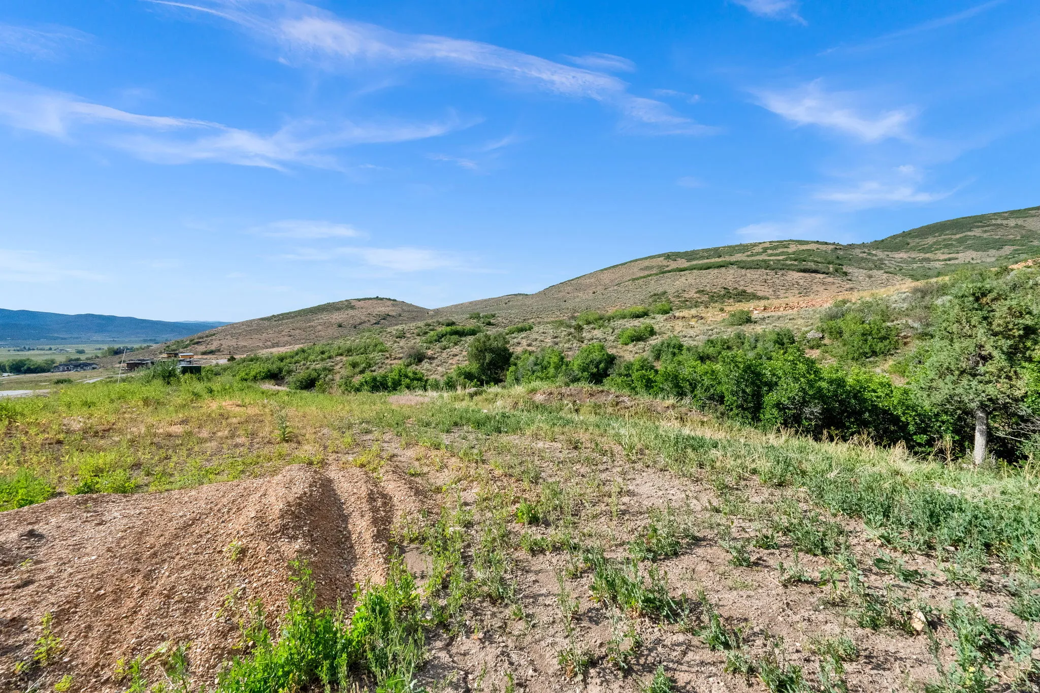 Expansive land parcel with natural terrain