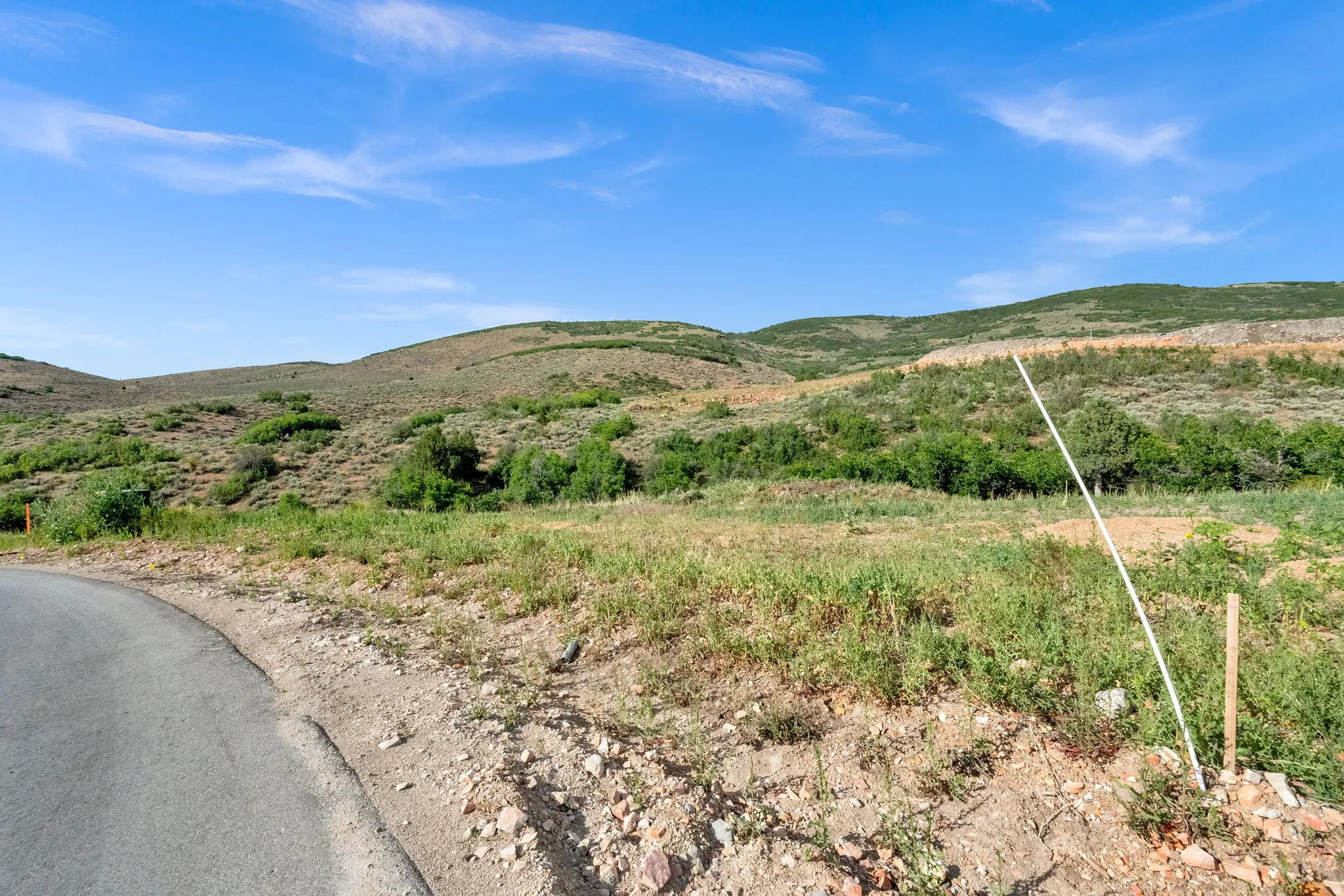 Expansive hillside property featuring natural vegetation and distant rolling hills