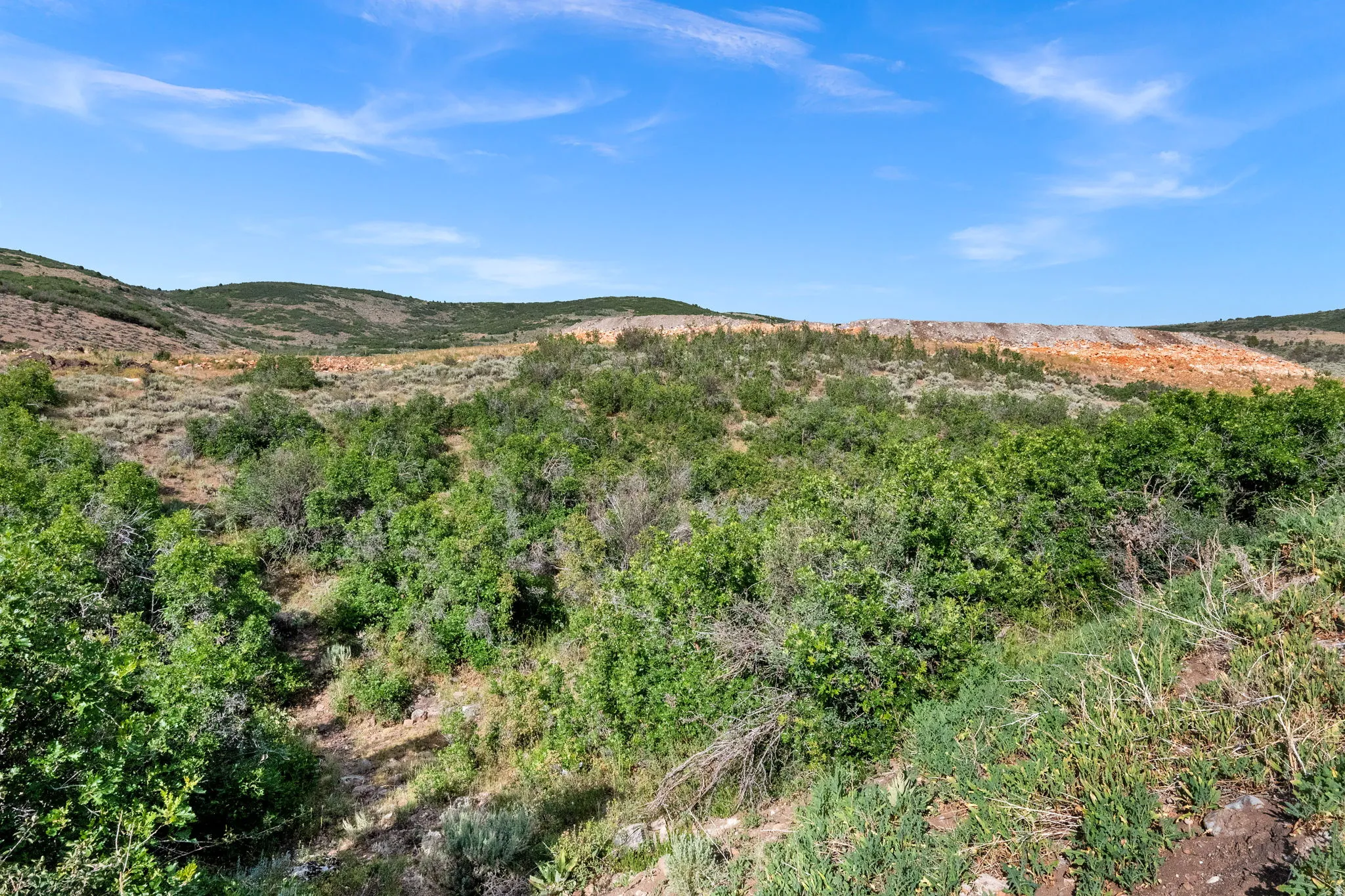Expansive natural landscape featuring varied terrain and lush green vegetation
