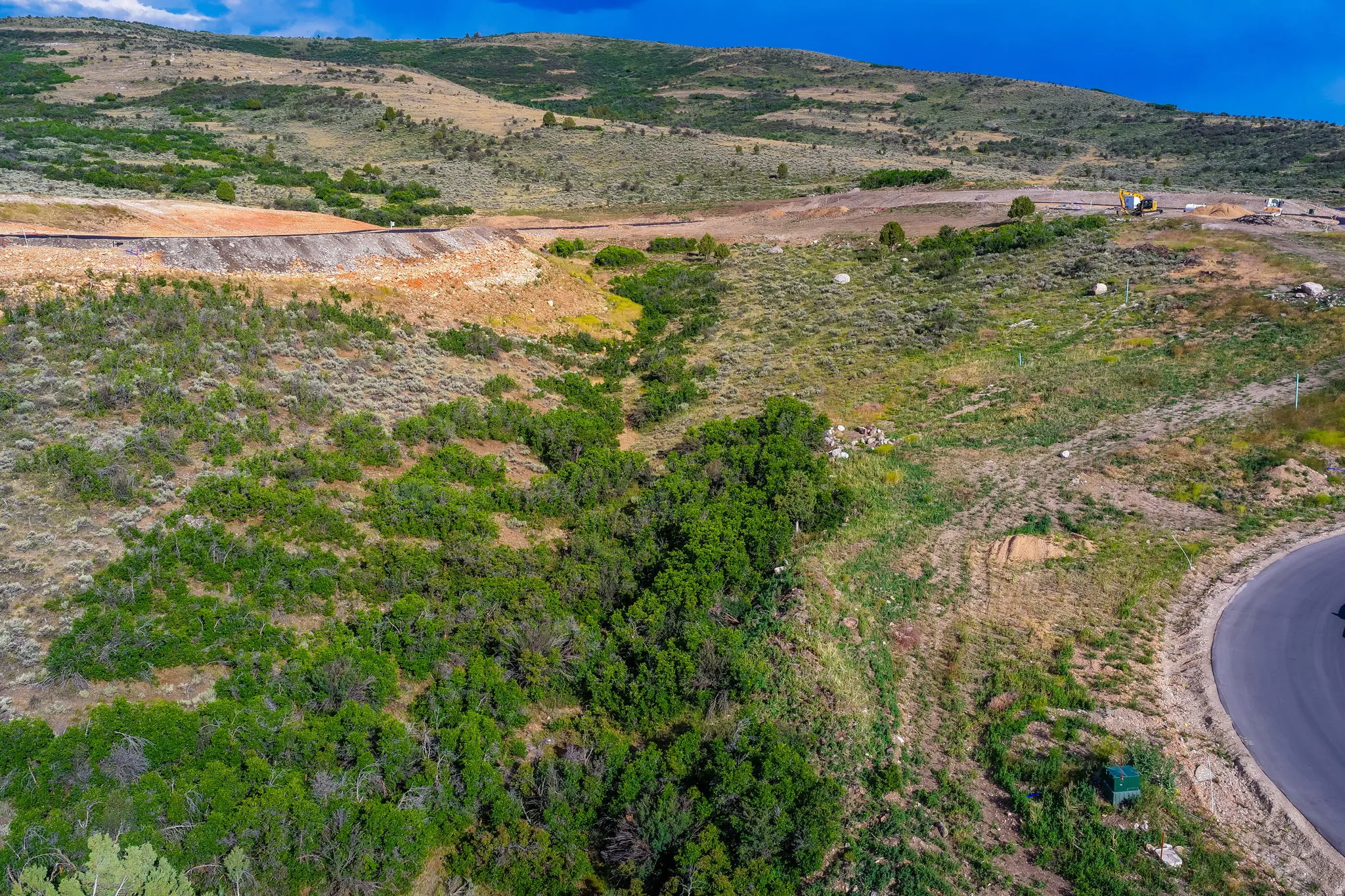 Expansive hillside parcel featuring natural vegetation and a curved asphalt road