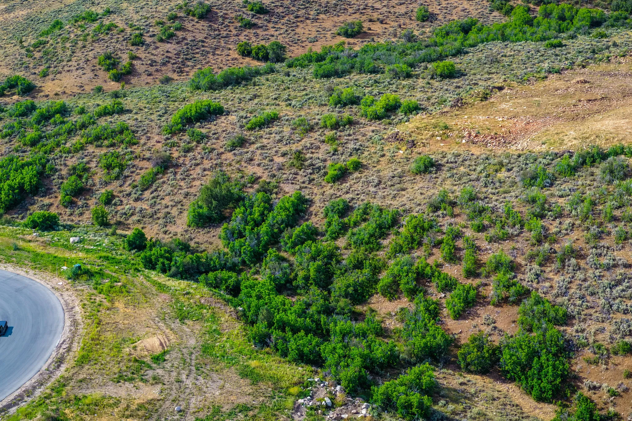 Expansive natural landscape featuring varied terrain and abundant foliage