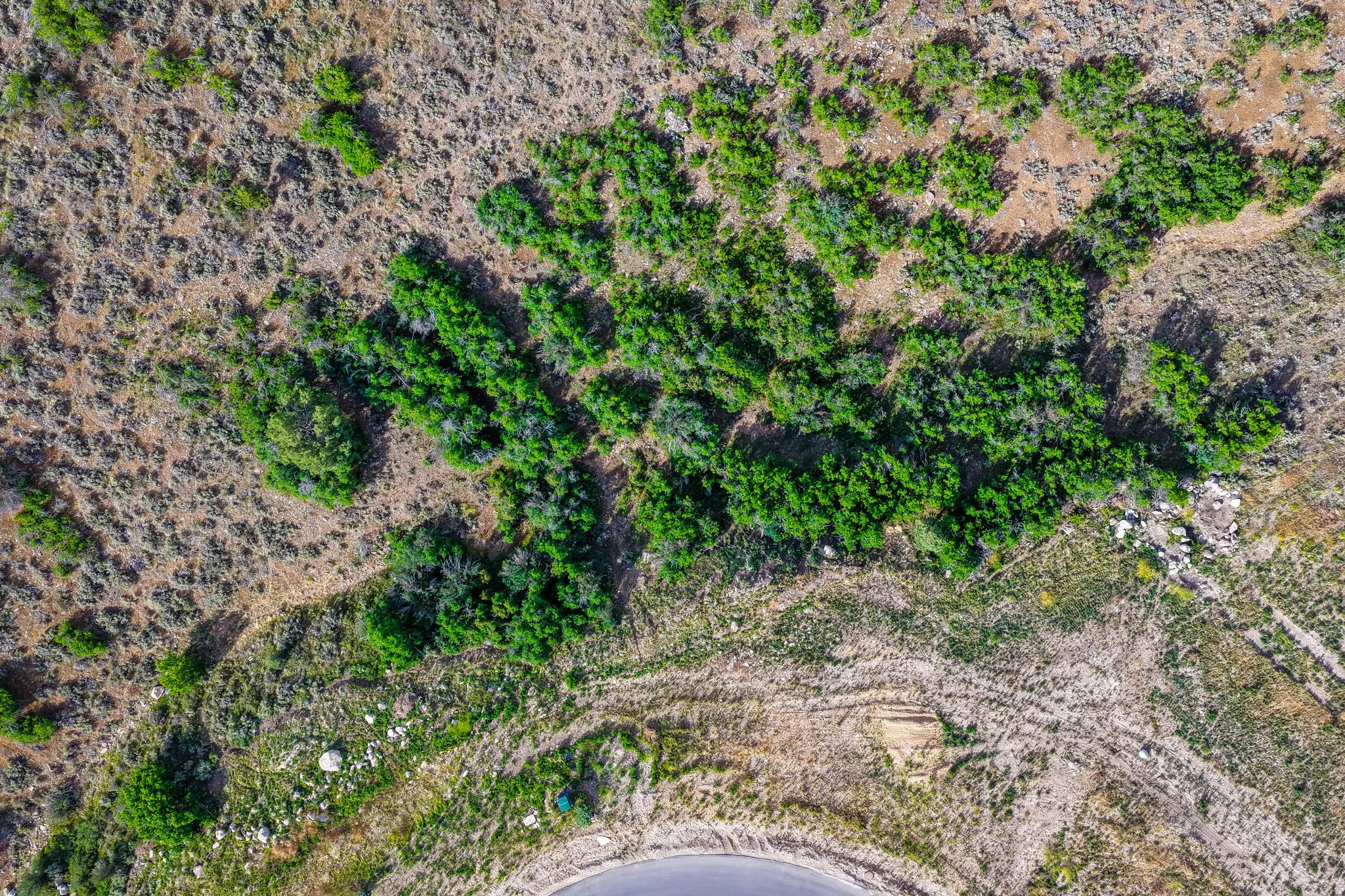 Natural landscape featuring varied vegetation, earthy tones, and a paved road segment
