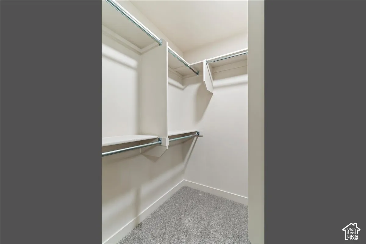Walk-in closet featuring light-toned walls, built-in shelving, chrome hanging rods, and grey carpet flooring