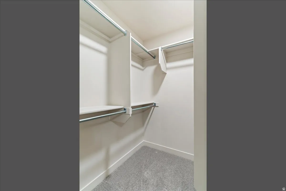 Walk-in closet featuring light-toned walls, built-in shelving, chrome hanging rods, and grey carpet flooring