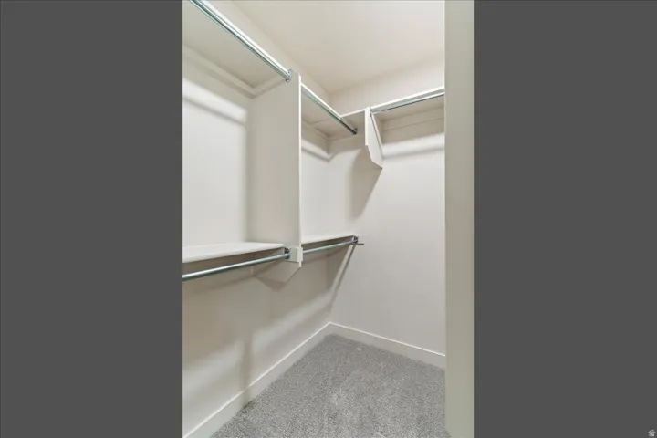 Walk-in closet featuring light-toned walls, built-in shelving, chrome hanging rods, and grey carpet flooring