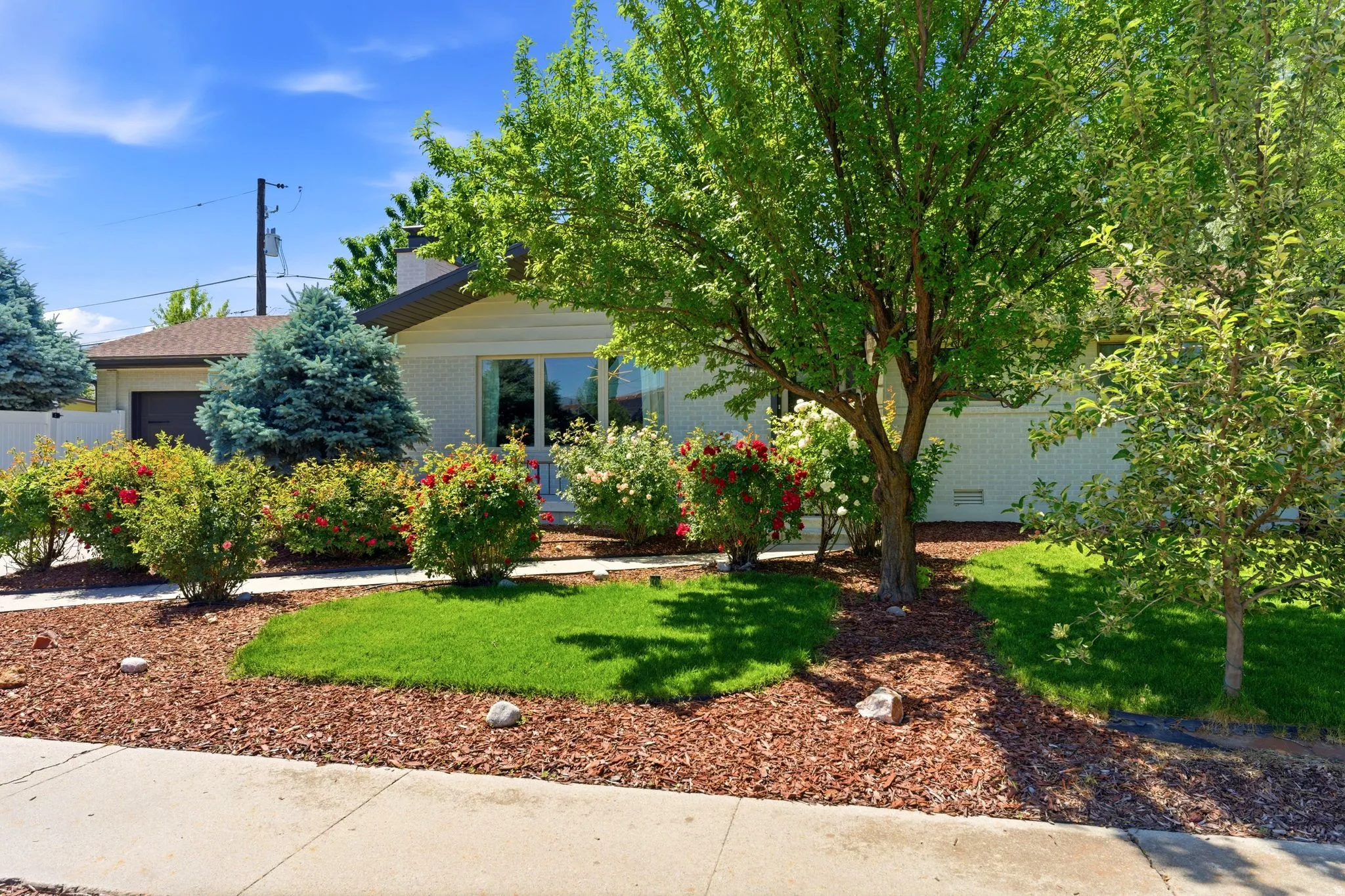 Landscaped front yard with mature trees, established shrubs, and ground-level plantings