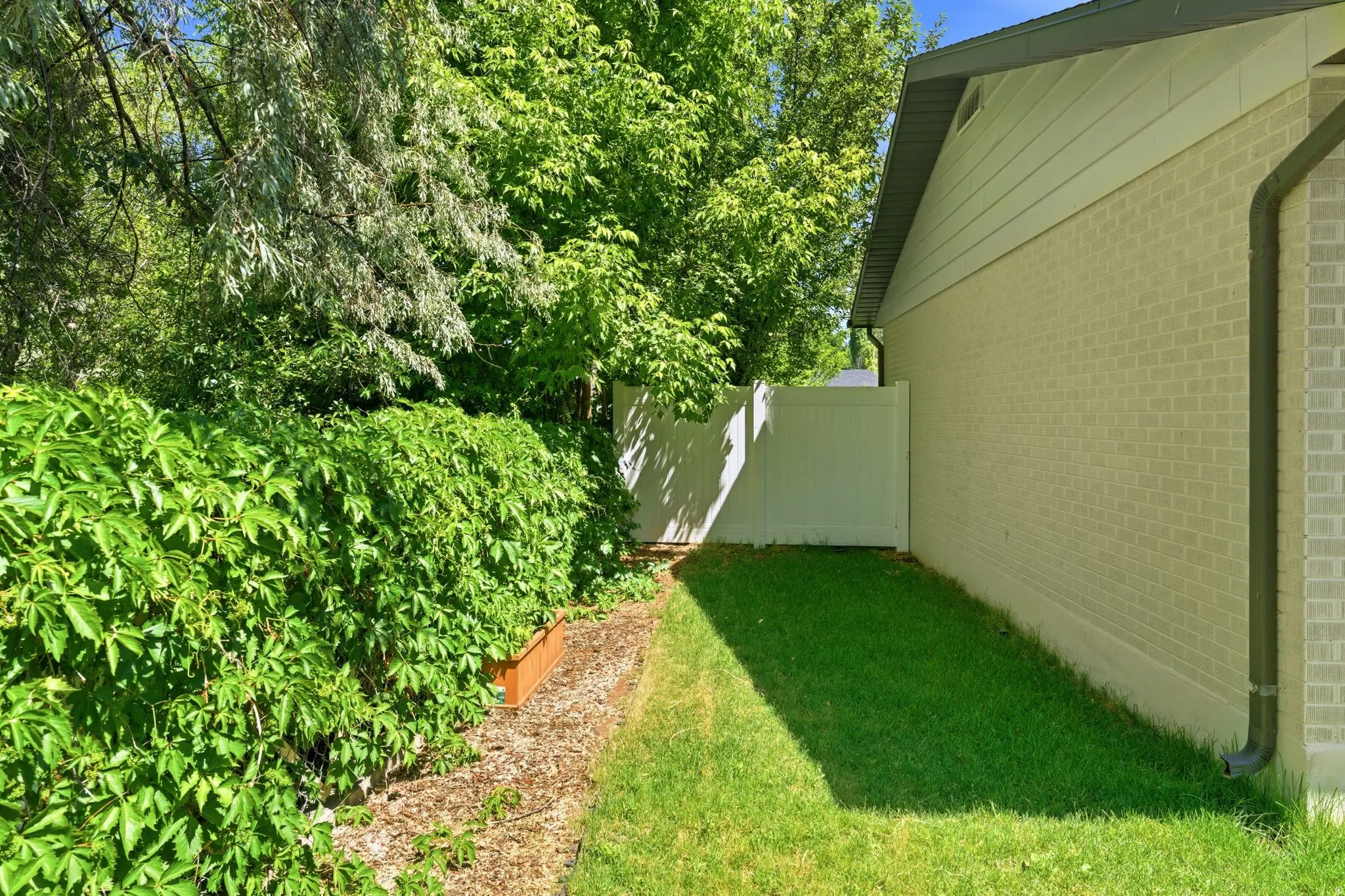 Side yard featuring a lush green lawn, mature trees, and a privacy fence
