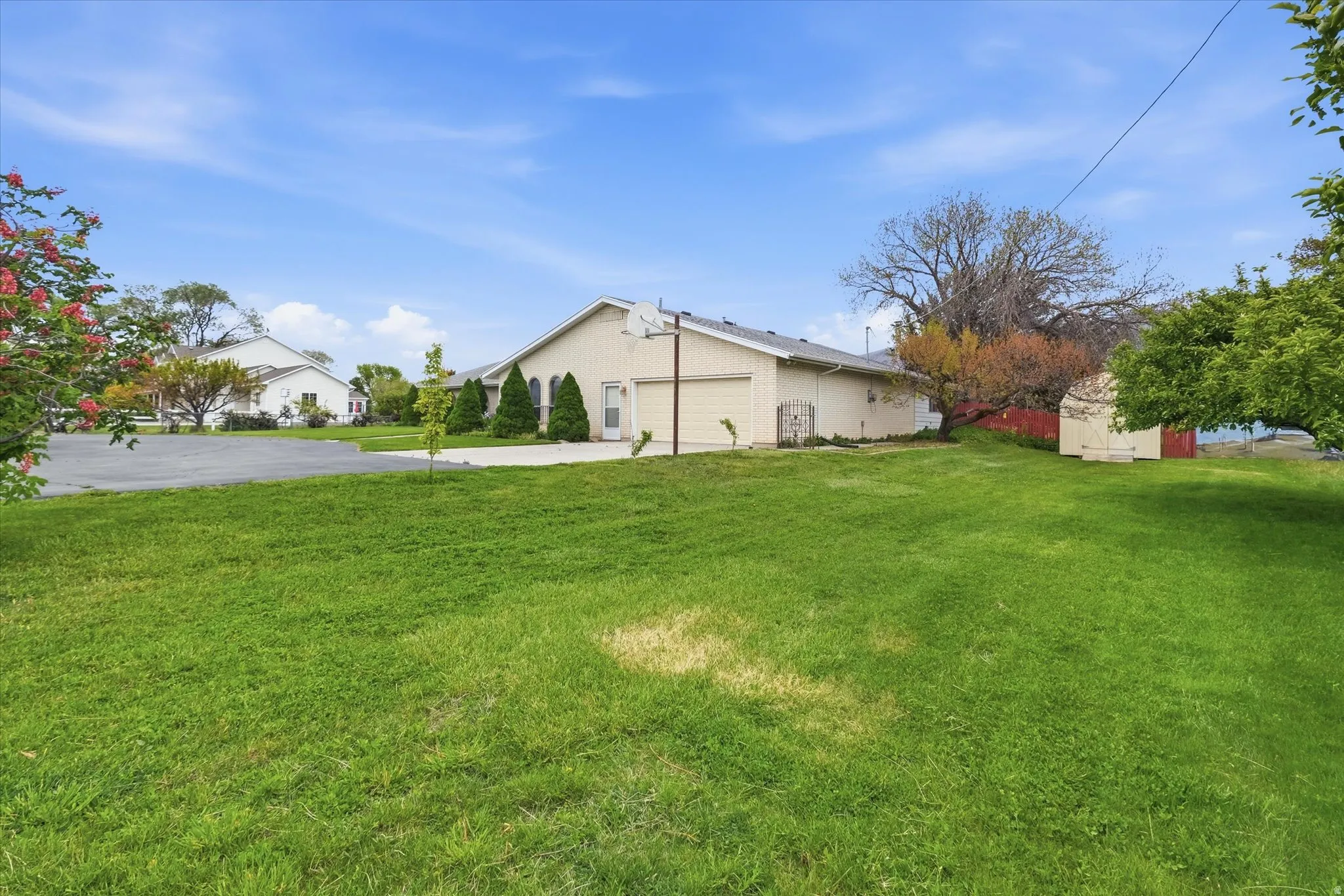 Green lawn with mature trees and a detached shed