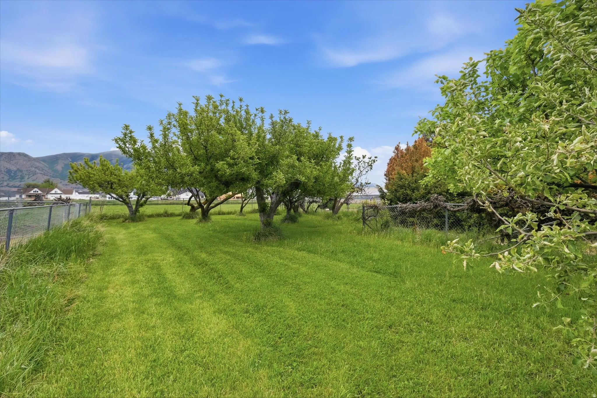 Lawn area featuring established trees and perimeter fencing