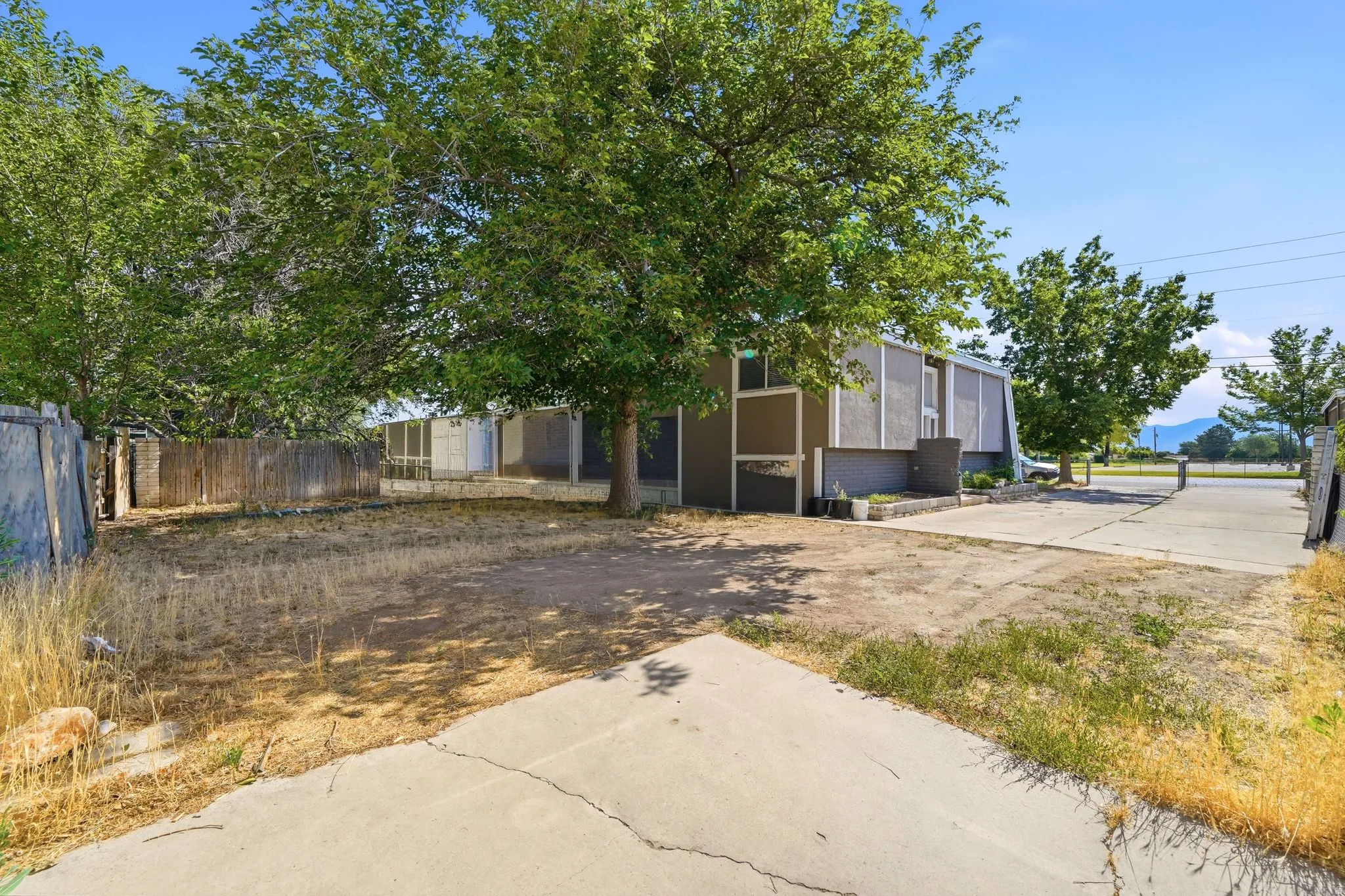 Front exterior with a concrete driveway and mature trees