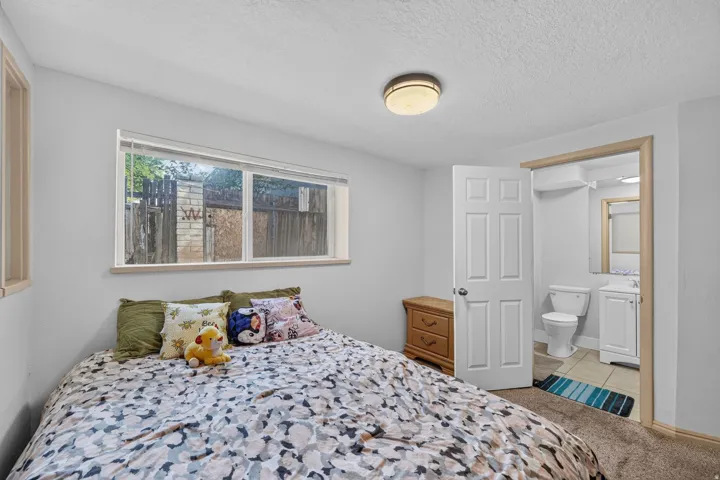 Bright interior room featuring a window with exterior views, neutral wall tones, and textured carpeting