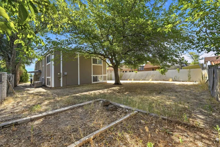 Expansive backyard featuring a mature shade tree and perimeter fencing