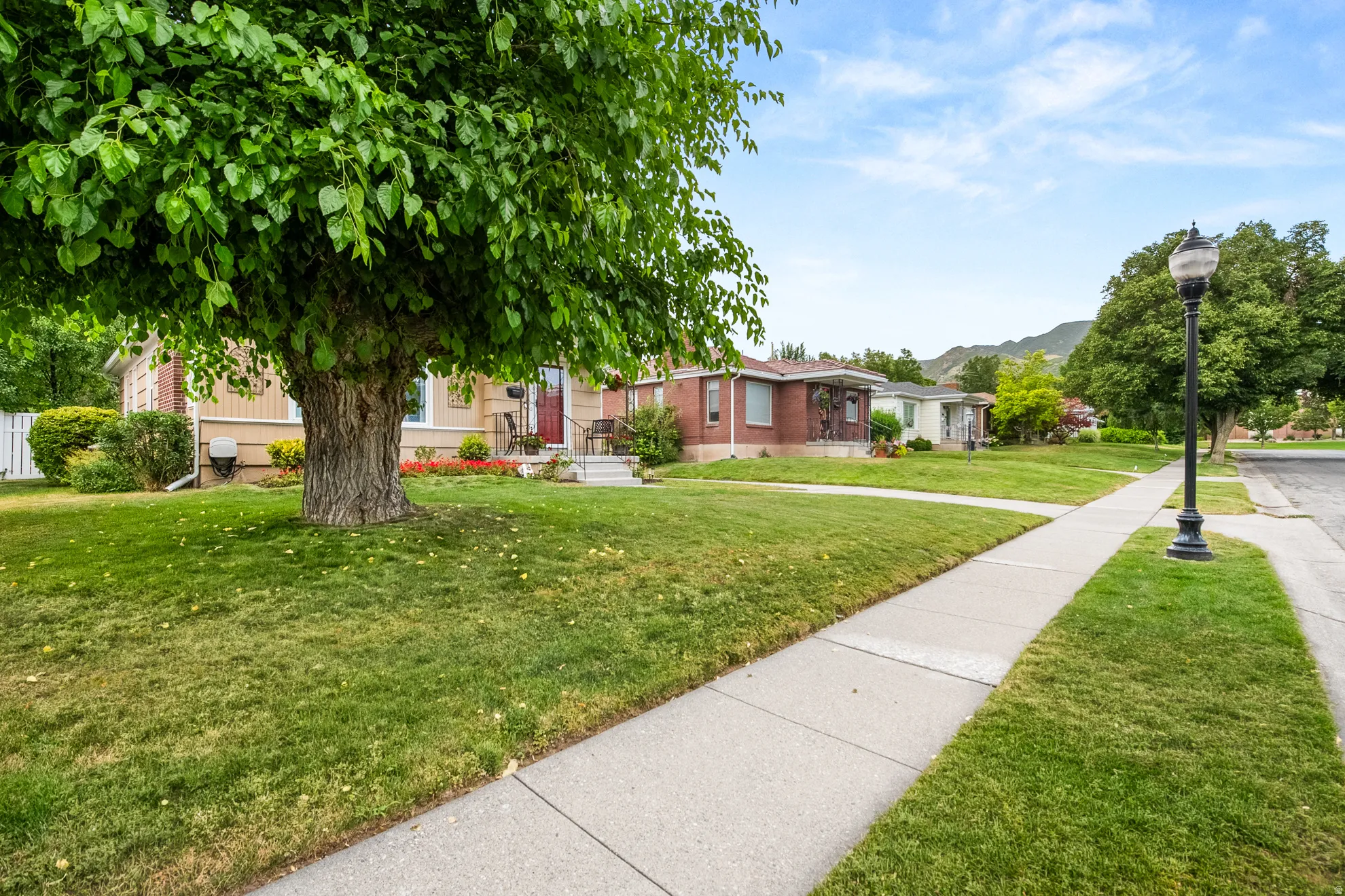 Expansive front yard featuring a mature shade tree, manicured lawn, and concrete sidewalk