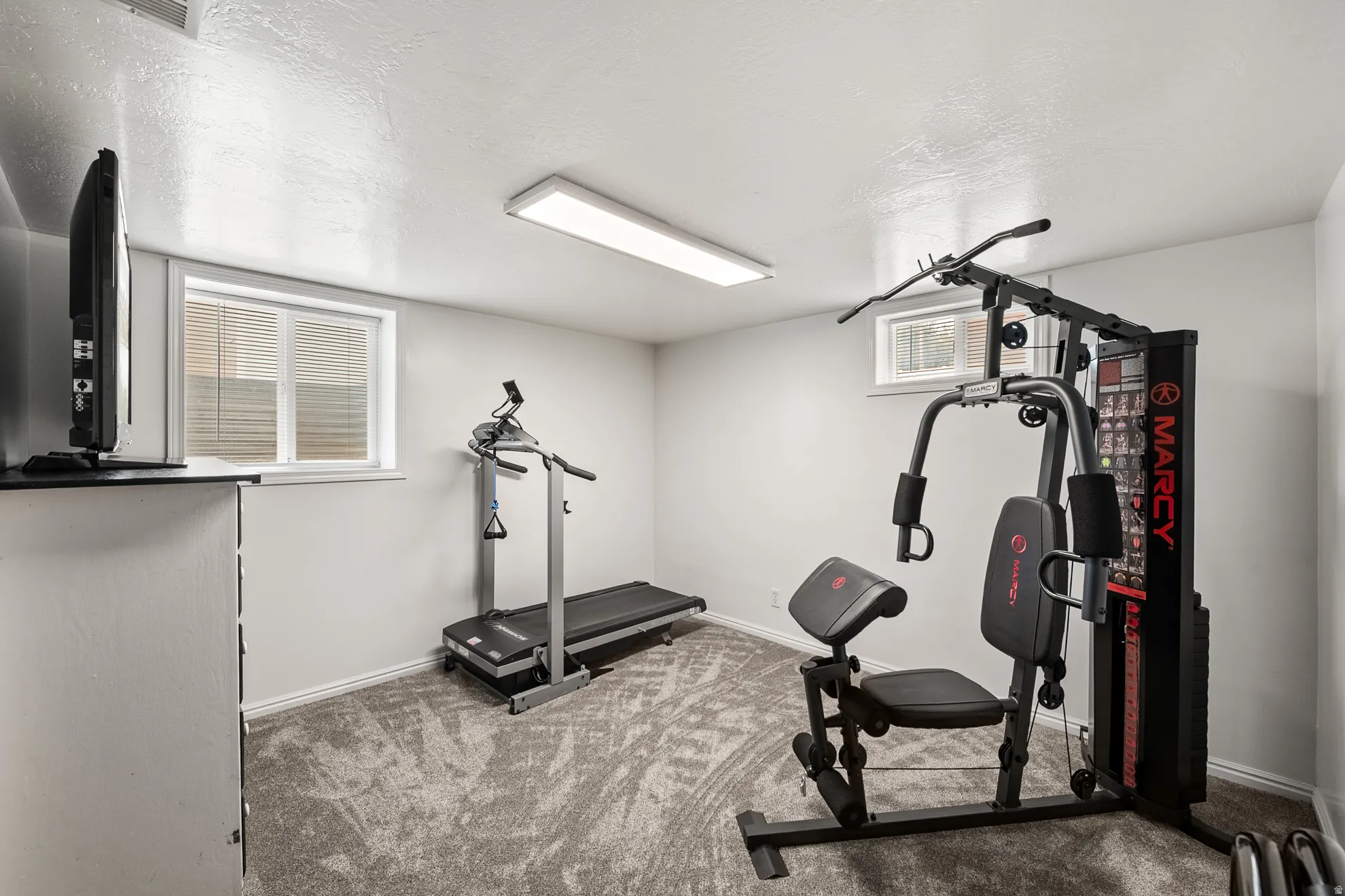 Carpeted room with light gray walls, two windows with blinds, and a rectangular ceiling light fixture