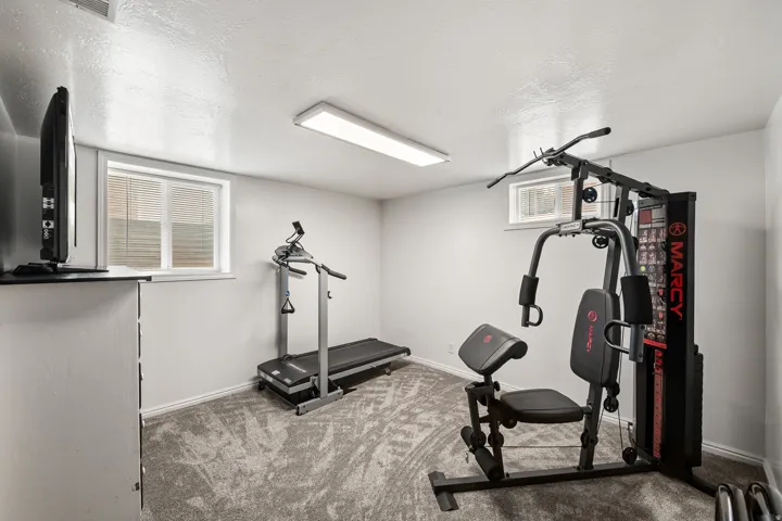 Carpeted room with light gray walls, two windows with blinds, and a rectangular ceiling light fixture