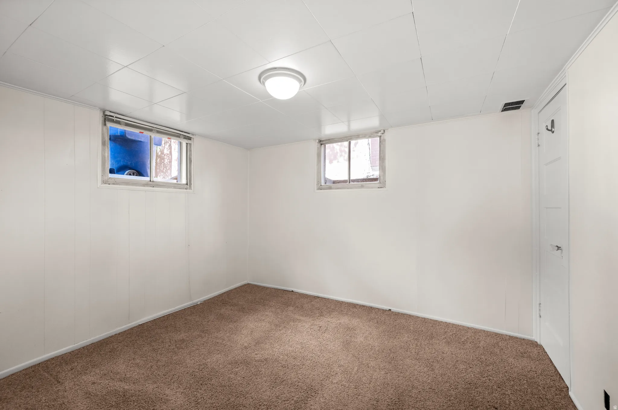 Room featuring white paneling walls, neutral carpet flooring, two basement windows, a ceiling-mounted light fixture, and a white door with panel detailing