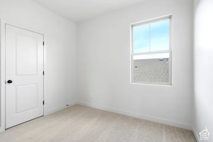Neutral wall paint, plush carpet flooring, a single window with white trim, a two-panel interior door with matte black hardware, and crisp white baseboards