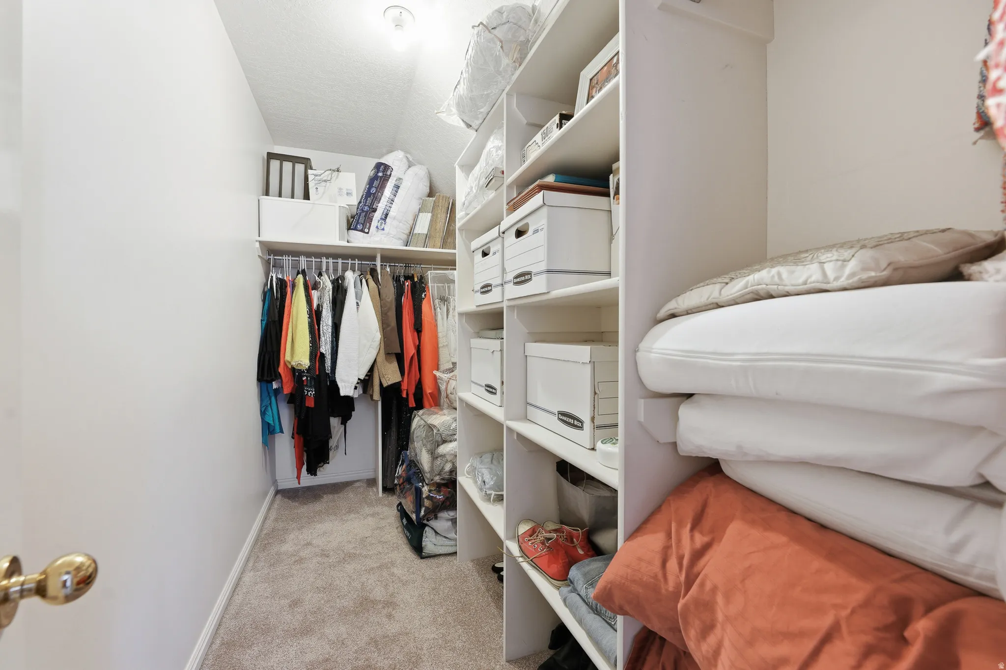 Walk-in closet featuring built-in shelving, hanging rods, and carpet flooring