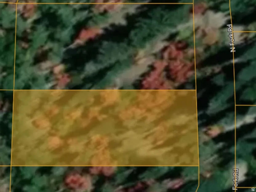 Plat Map, Parcel Identification. Illustrating the property's boundary lines and location relative to N Fork Rd