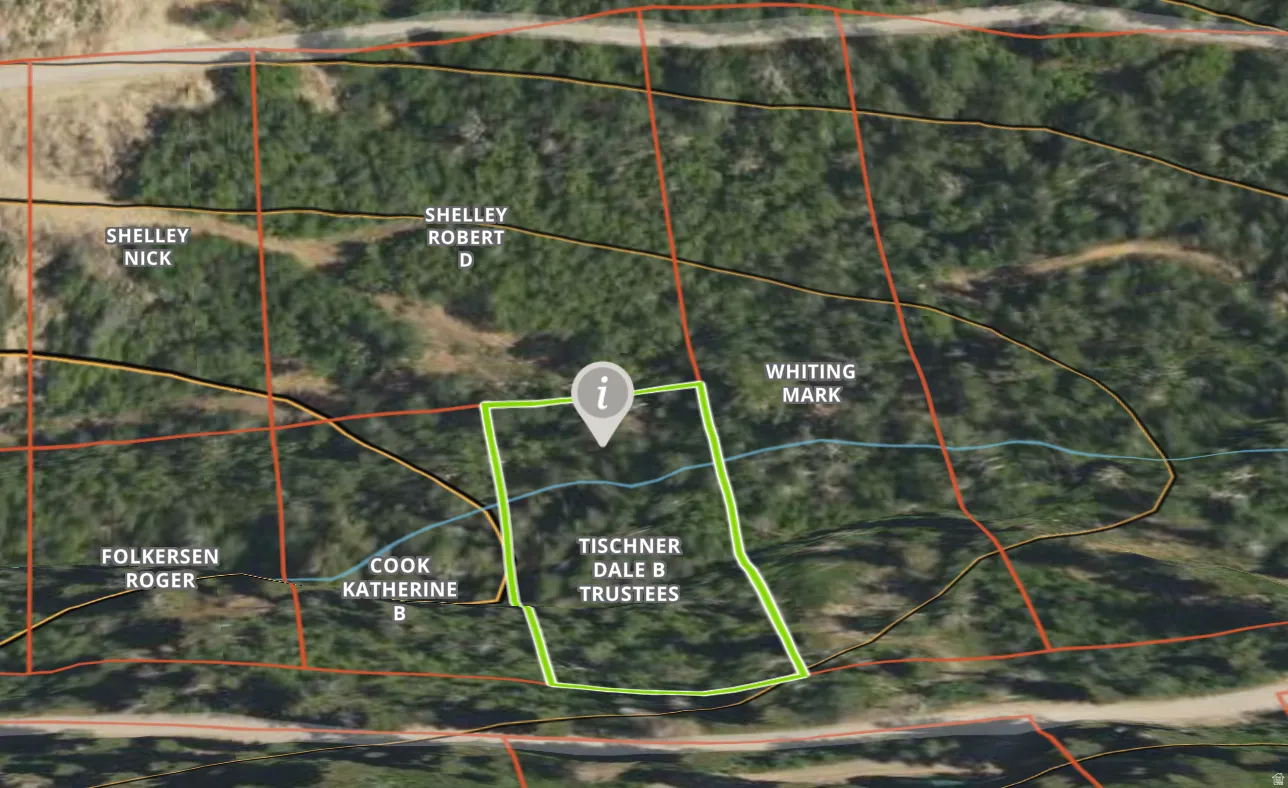Assessor's Parcel Map. Indicating property boundaries and ownership information for the specified parcels