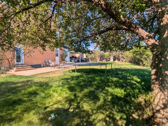 Shaded yard view