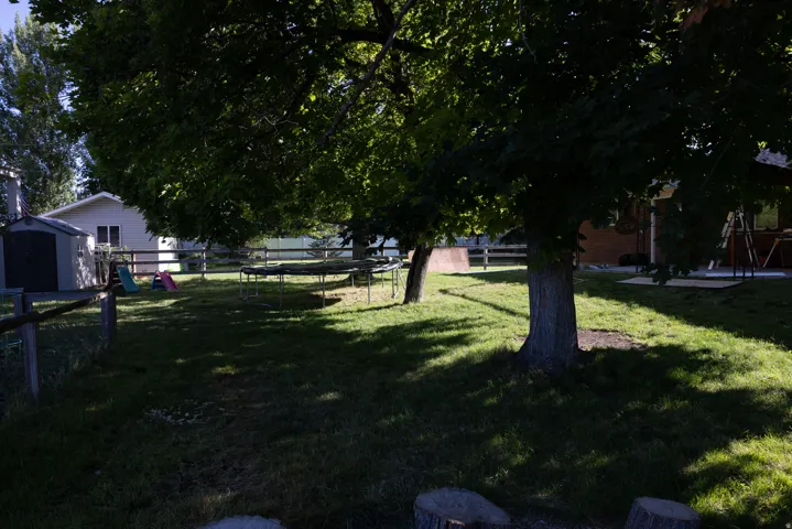 Expansive backyard featuring mature trees, a manicured lawn, and a perimeter fence