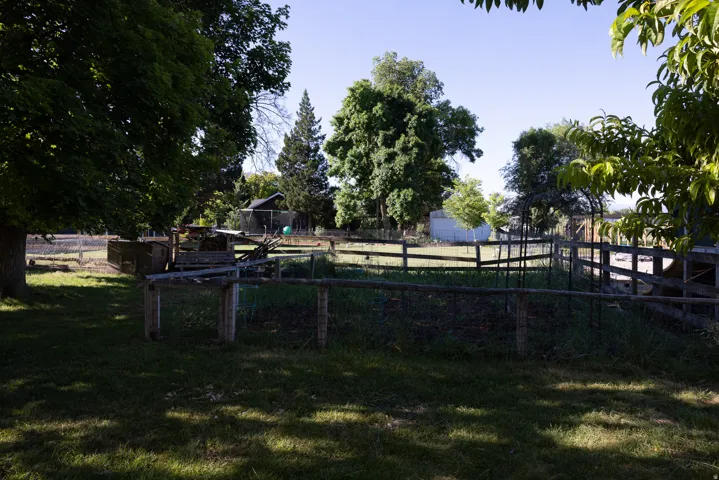 Expansive outdoor space featuring a fenced area, mature trees, and a distant outbuilding