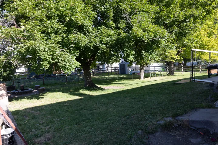 Expansive lawn area featuring multiple mature trees