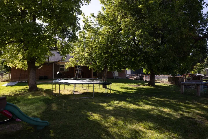 Expansive backyard featuring mature trees providing ample shade and a grass lawn
