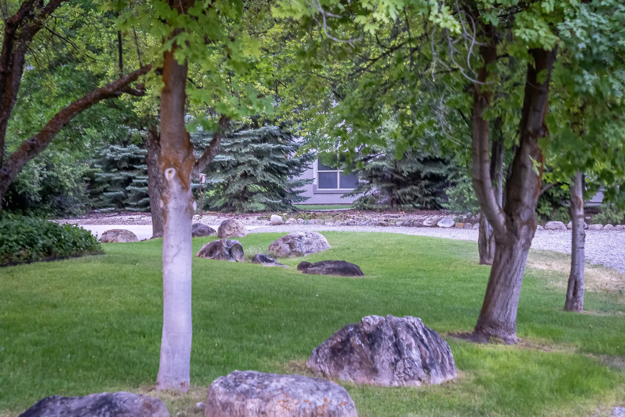 Expansive lawn area featuring mature trees and decorative natural boulders