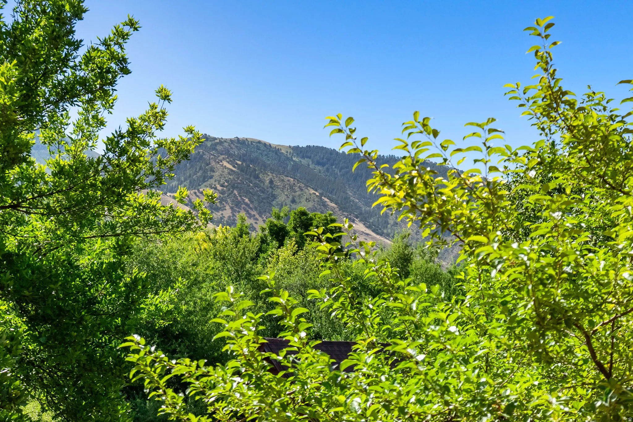 Expansive mountain scenery with a clear blue sky