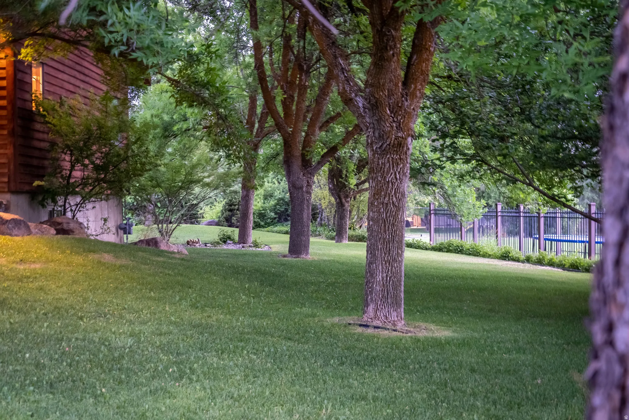 Expansive lawn featuring mature trees, a privacy fence, and a visible exterior wall with horizontal siding