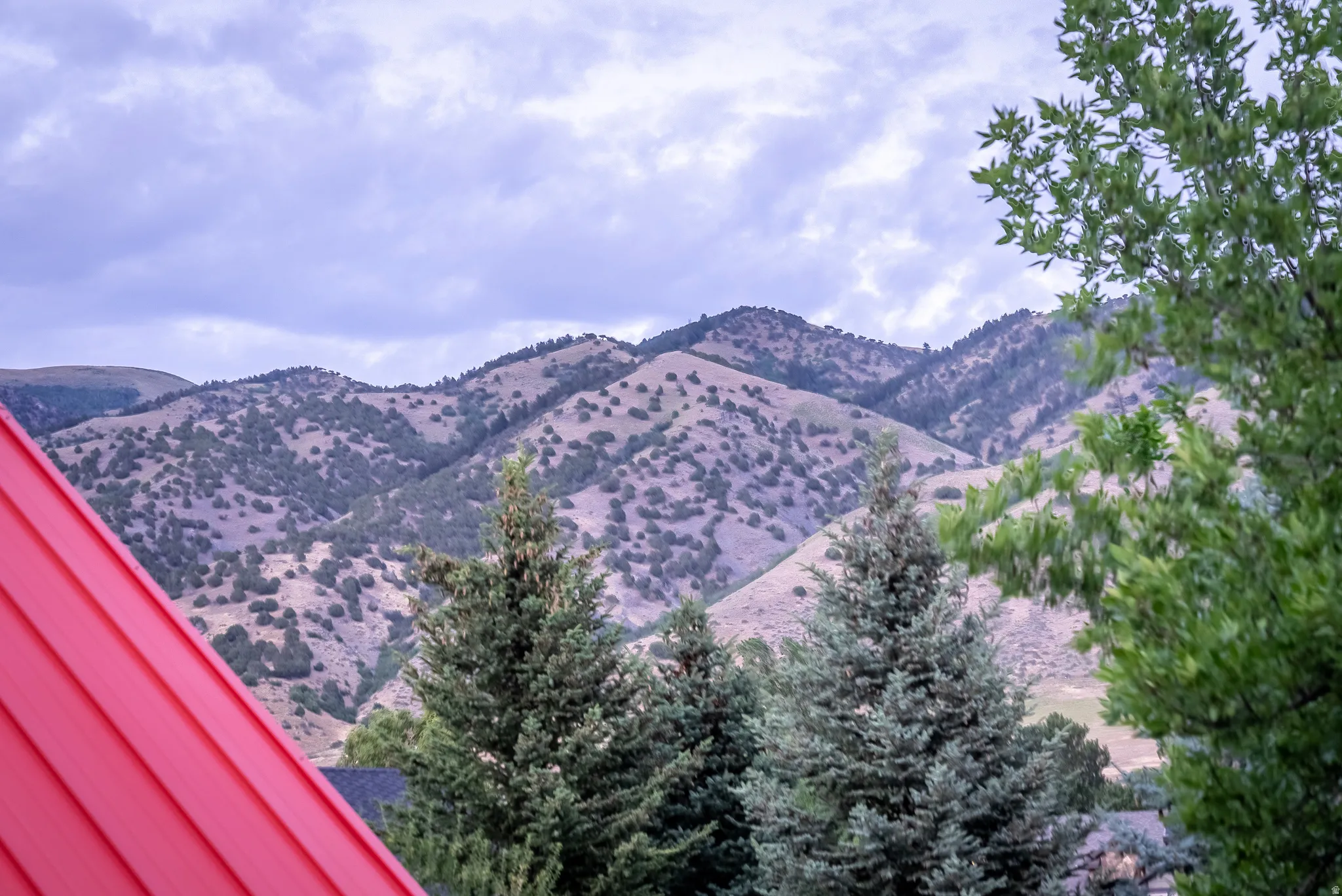 Red siding exterior with a pitched roofline, framed by mature evergreen trees