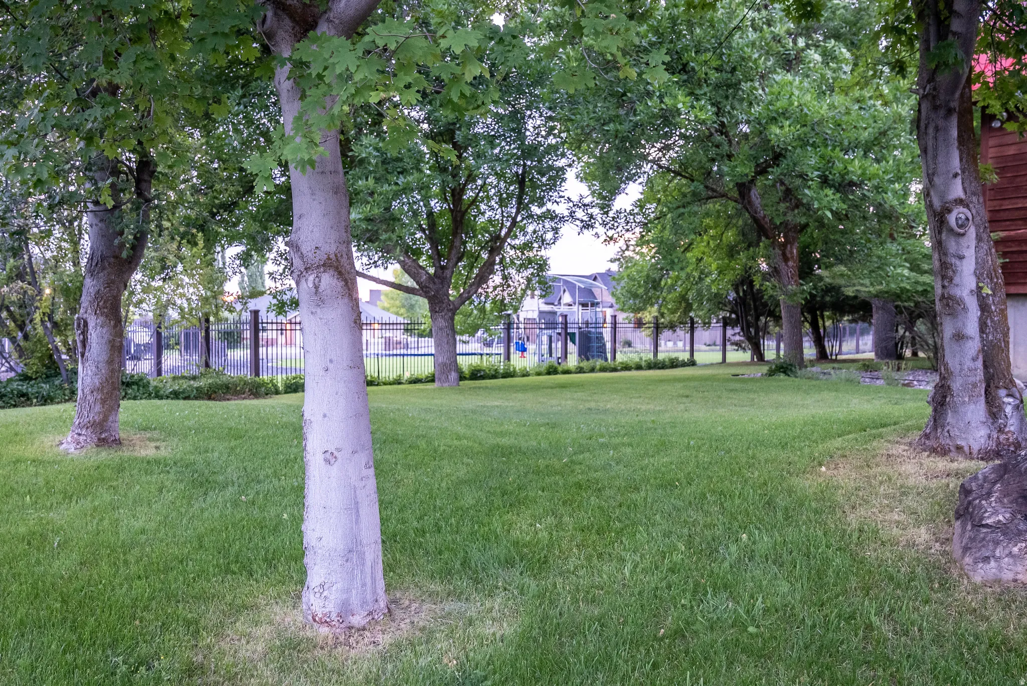 Expansive green lawn framed by mature trees