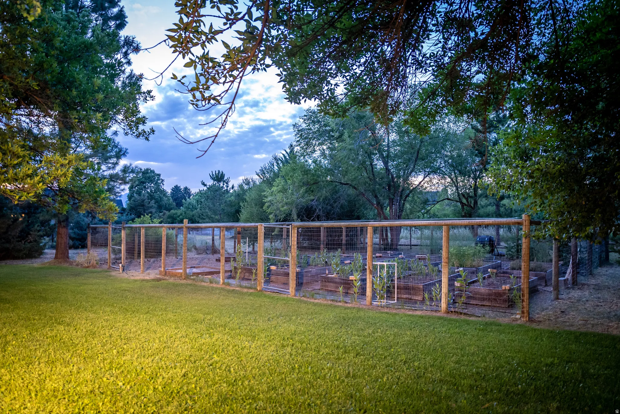 Expansive backyard featuring a fenced garden with multiple raised planting beds, verdant lawn, and mature trees