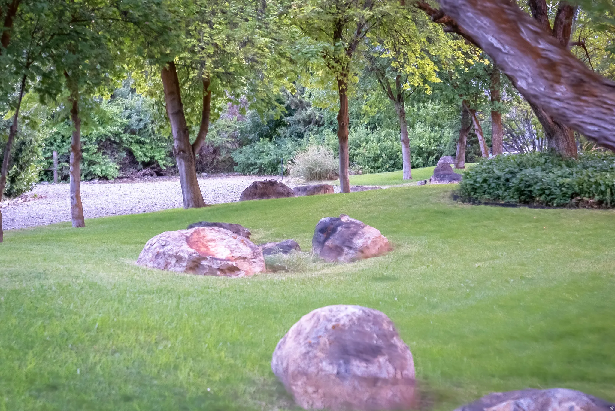 Expansive green lawn featuring mature trees and scattered natural boulders