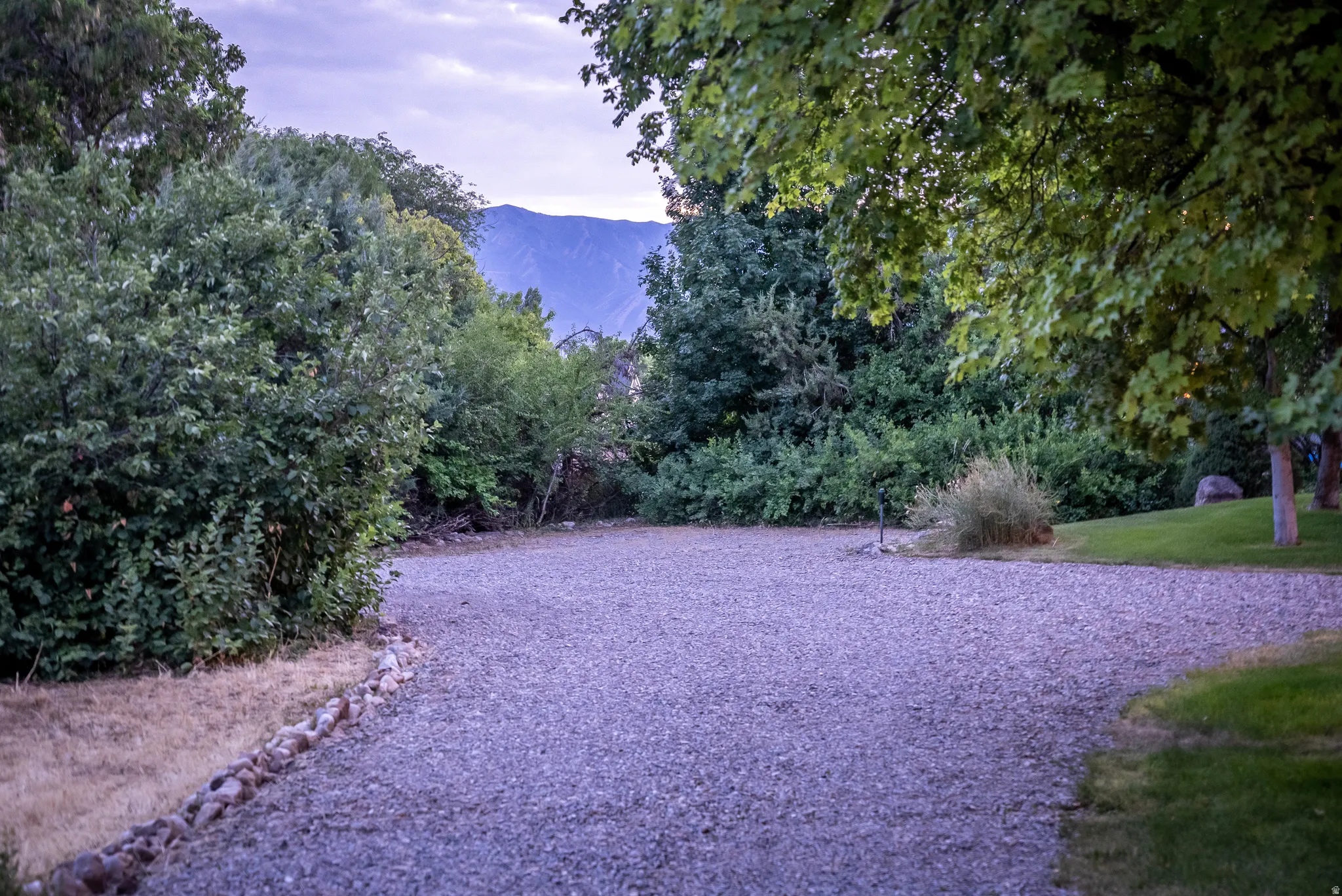 Gravel driveway surrounded by mature trees and natural landscaping